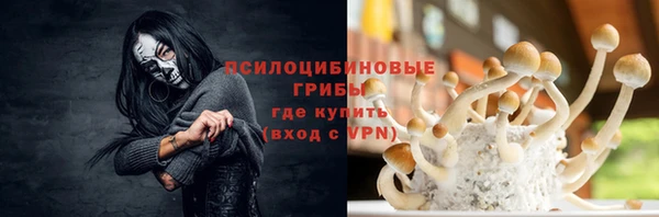 Альфа ПВП Киров